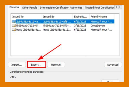 Export a Certificate From Google Chrome (Easiest Way in 2025)